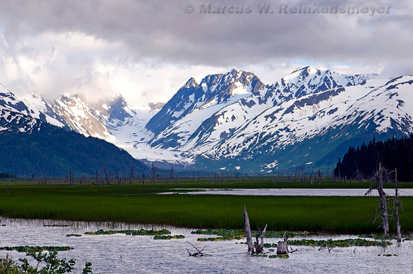 Kenai Fjords 3 - 099