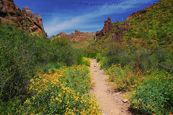 Lost Dutchman State Park, Superstition Mountains, Arizona