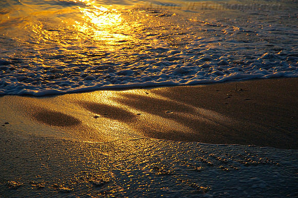 Surf and sand aglow in golden sunset light on the pristine beach at Fort Lauderdale, Florida.