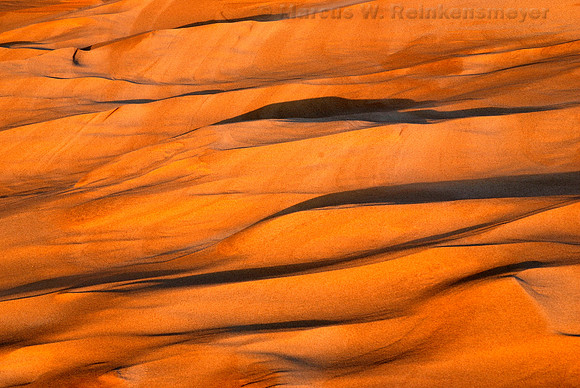 Sculpted by Wind and Rain,  Sand Dunes, Silver Lake State Park, Michigan