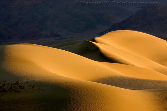 Warm sun rays and long shadows create a visual delight at Mesquite Flat Dunes, a large expanse of dunes in Death Valley National Park, California.
