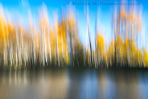 Autumn Aspen Reflections 1, Hart Prairie Road, Flagstaff, Arizona