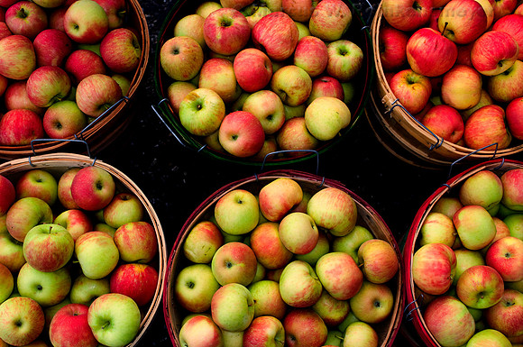 Farmers' Market, Kalamazoo, Michigan