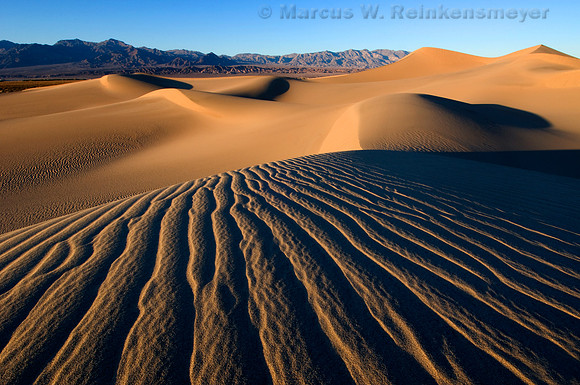Mesquite Flat Dunes, Death Valley National Park,  California