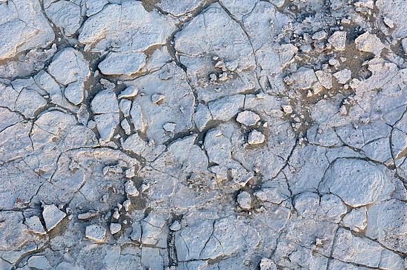 Ground Detail, Mesquite Flat Dunes, Death Valley National Park,  California