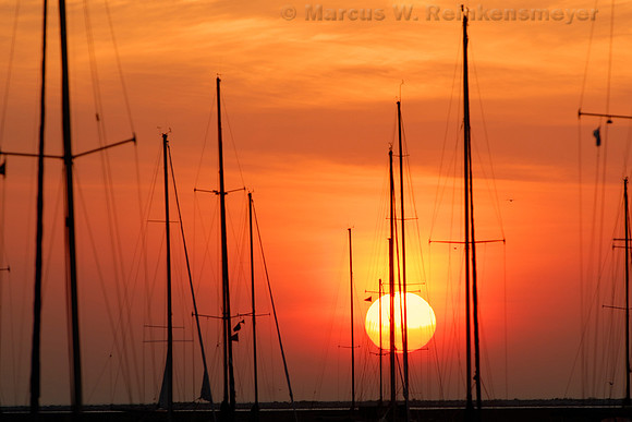 Orange in the Harbor, Chicago