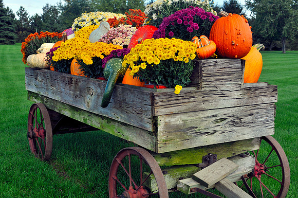 Fall Harvest Wagon, Kalamazoo, Michigan