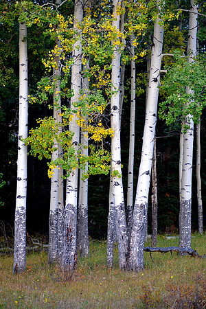 Rocky Mtn Park 008