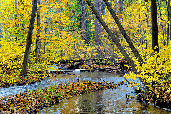 Autumn Glow, Paw Paw River, Michigan 2 64 meg