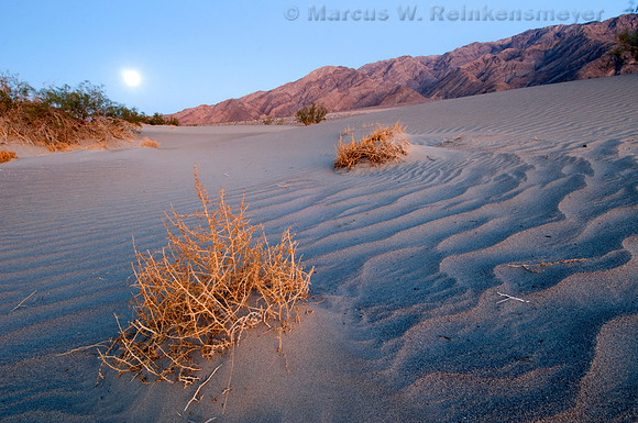 Moon rise and stark mountain range at Mesquite Flat Dunes, Death Valley National Park,  California