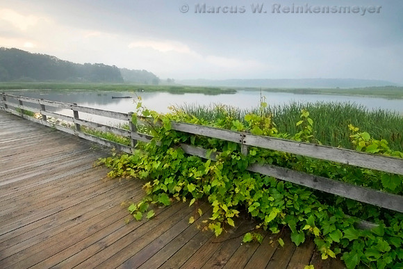 Color on a Gray Day, Pentwater,  Michigan