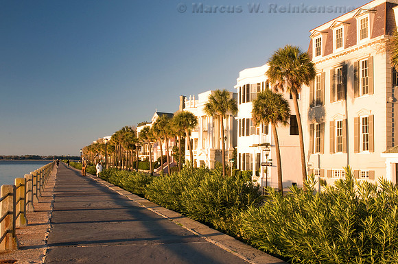 Palm trees and housing basking in morning light on East Bay Street, Charleston, South Carolina.