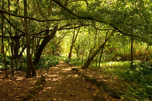 Halekala National Park, Maui, Hawaii