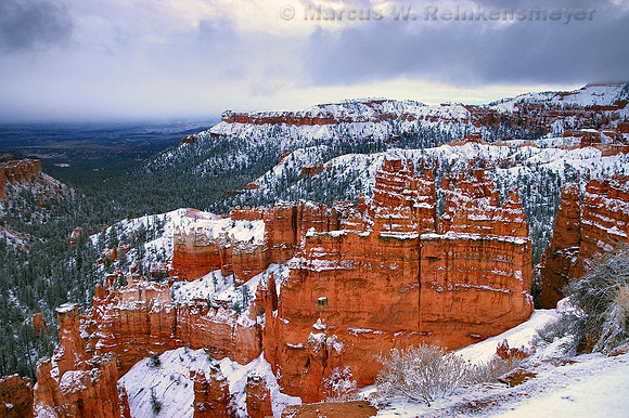 Fall Snow Storm, Bryce Canyon National Park, Utah