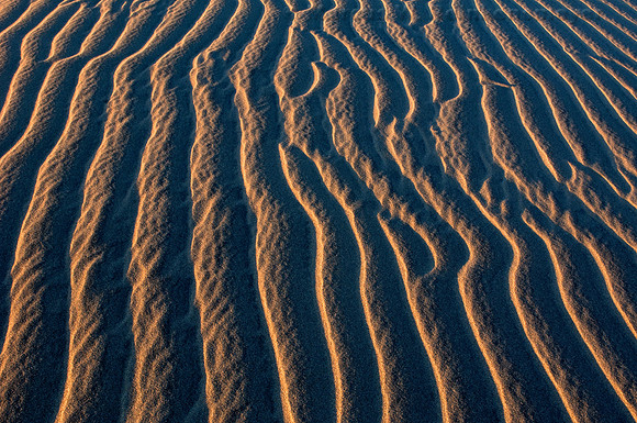 Sand dune ripples and nature's patterns in the Mesquite Flat Dunes, Death Valley National Park, California.