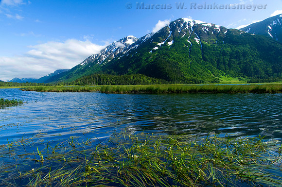 Kanai Fjords 2 - 013
