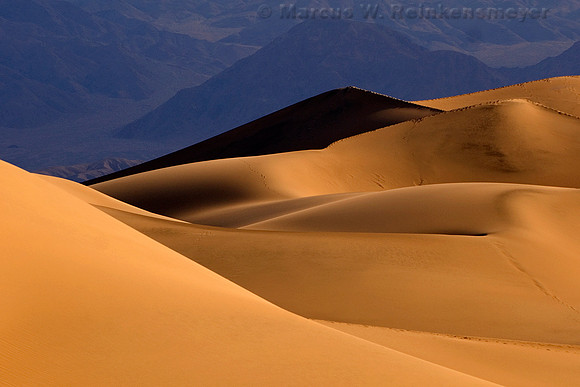 Dramatic sand dune formations flanked by the Panimint Mountains, at Mesquite Flat Dunes in Death Valley National Park.