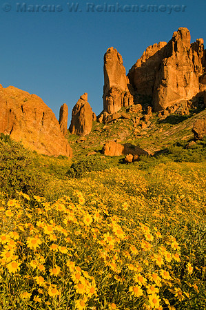 Lost Dutchman State Park, Superstition Mountains,  Arizona