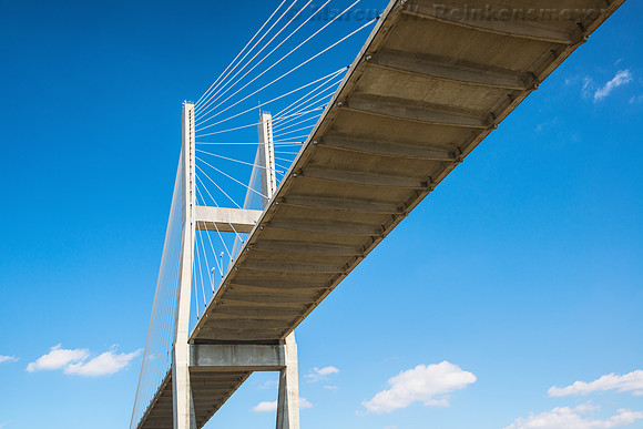 Savannah View Under the Talmadge Bridge