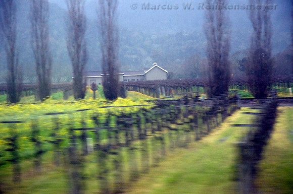 Wine Country in Motion, Napa Valley, California