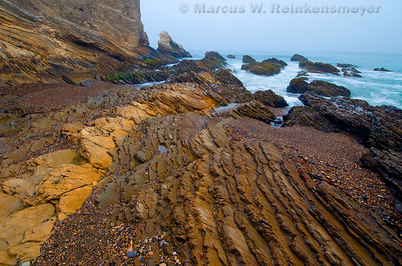 Exposed Pacific coast geology on a foggy day at Montana de Ore State Park, California.
