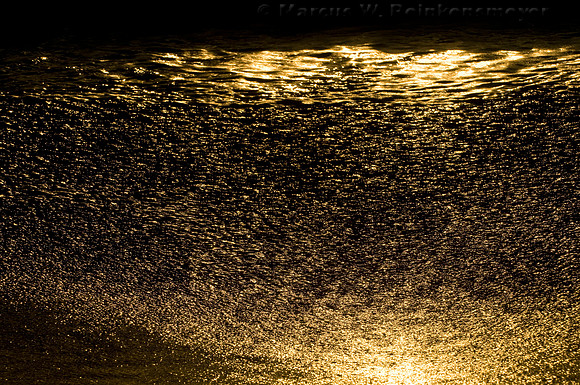 Glistening Gold Island Shore,  Ka'anapali Beach, Maui, Hawaii