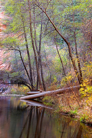 Oak Creek in Autumn, West Fork Trail,   Sedona, Arizona