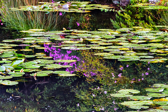 2 Jardin de Monet at Giverny, France 2