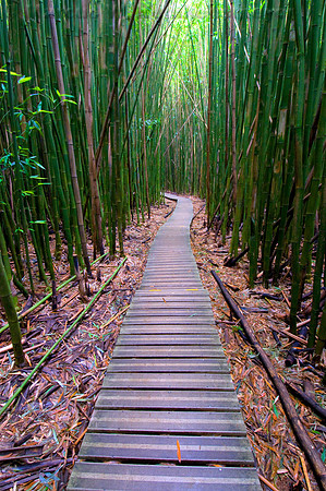 Halekala National Park, Maui, Hawaii