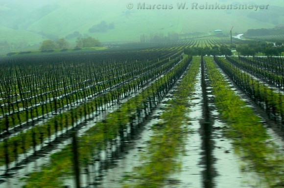 Wine Country in Motion, Napa Valley, California