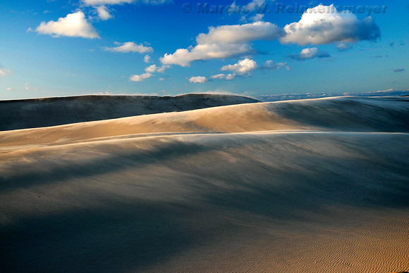Drifting sands at Silver Lake Sand Dunes Park, located on the Lake Michigan shoreline.