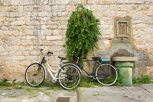 Bicylce and Fountain, Pisa, Italy