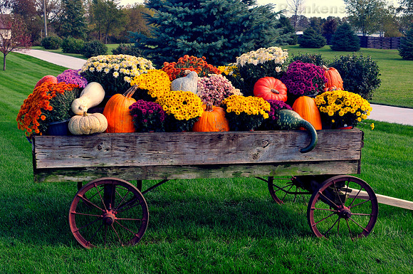 Weathered wagon with bountiful autumn harvest, including vegetables and flowers. Kalamazoo, Michigan.