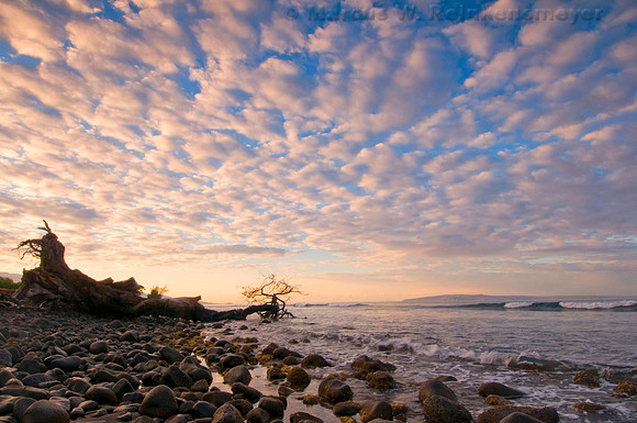 Endless Beaches, Maui, Hawaii