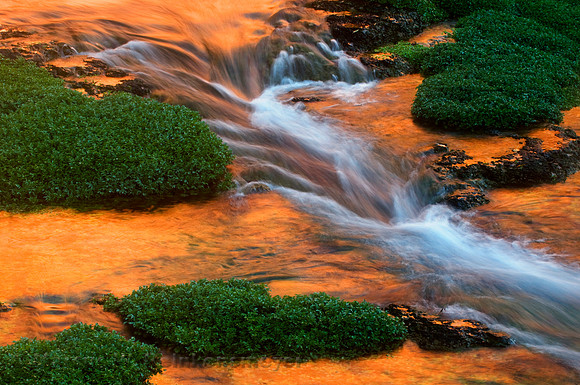 Canyon Wall Reflections 1, Rock Falls, Arizona