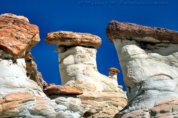 White Garden, Glen Canyon National Recreation Area, Utah
