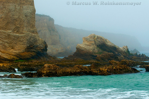 Shrouded in heavy fog, the rocky beach at Montana de Ore State Park, California.