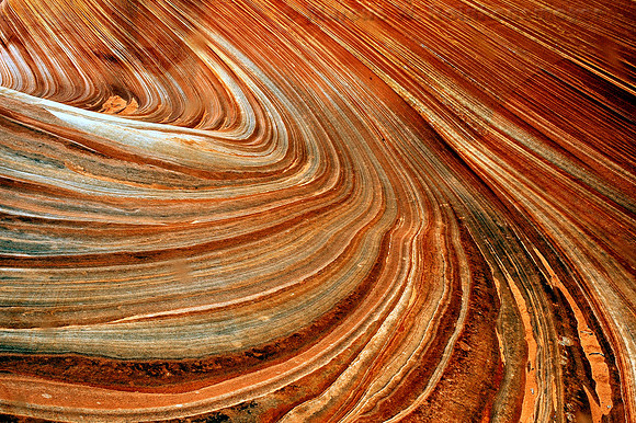 Nature's Grand Design: Dramatic swirl patterns in Navajo Sandstone formation, laced with mineral deposits, at the other worldly “Wave,” North Coyote Buttes, Vermilion Cliffs Wilderness Area, Arizona-U