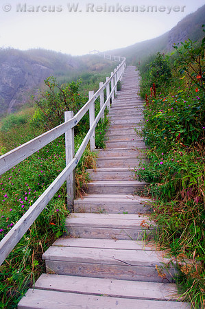 White Wooden Stairs, Signal Hill, Saint John's, New Foundland, Canada