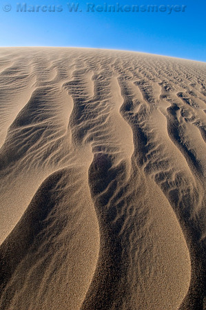Sand dune ripples and clear blue skies at Mesquite Flats Dunes, a large expanse of sand near Stove Pipe Well, Death Valley National Park, California.