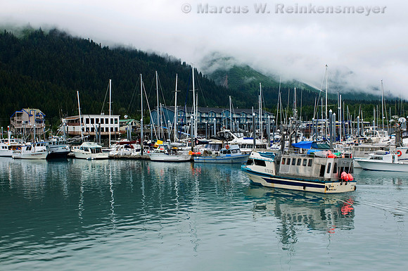 Located at the head of Resurrection Bay on the Kanai Peninsula, the Seward, Alaska, shoreline shrouded in morning fog.