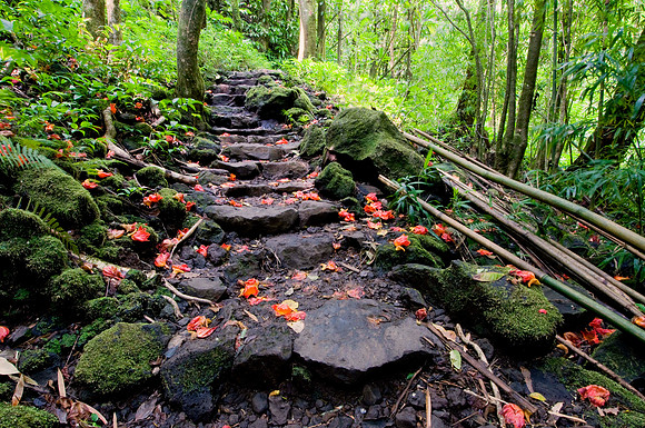 Halekala National Park, Maui, Hawaii