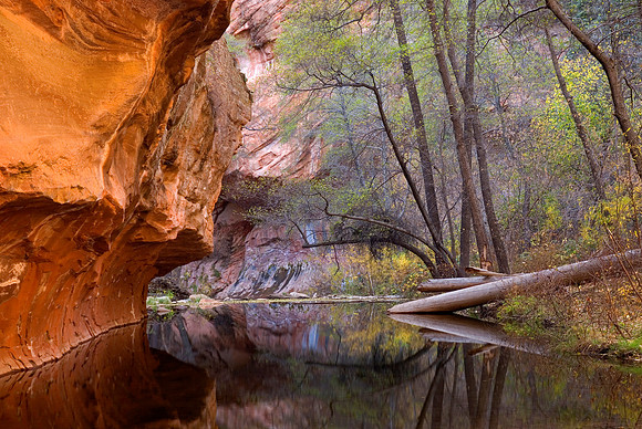 Cover photo for Capture My Arizona 2013 calendar: West Fork Trail in Oak Creek Canyon, Arizona.