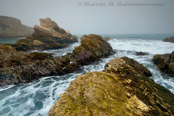 Exposed Pacific coast geology on a foggy day at Montana de Ore State Park, California.
