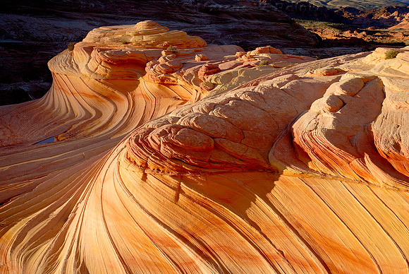 Wave Two, Coyote Buttes, Paria Canyon-Vermilion Cliffs Wilderness,  Arizona-Utah Border