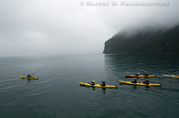 Kayakers heading out from remote Fox Island, home of the Kenai Fjords Wilderness Lodge, a destination location on Kenai Fjords wildlife and glacier cruises, Alaska.