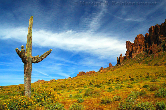 Lost Dutchman State Park, Superstition Mountains,  Arizona