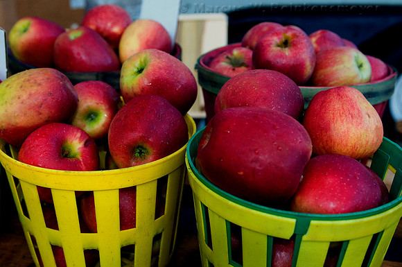 Farmers' Market, Kalamazoo, Michigan
