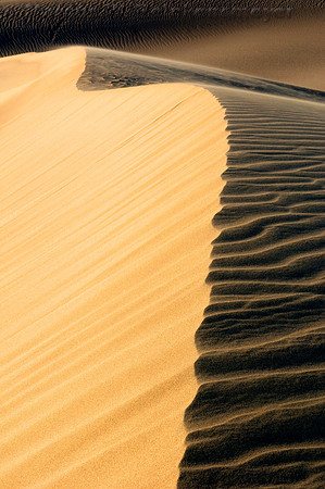 Ripples, blowouts and drifting sand accentuated by sunset shadows at Mesquite Flat Dunes, Death Valley National Park, California.