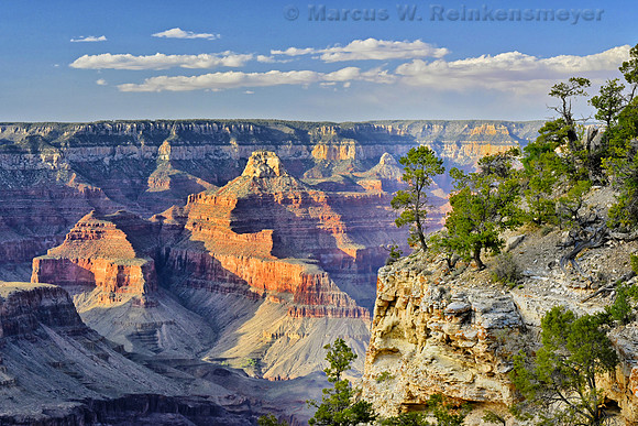 Grand Canyon South Rim 1, AZ